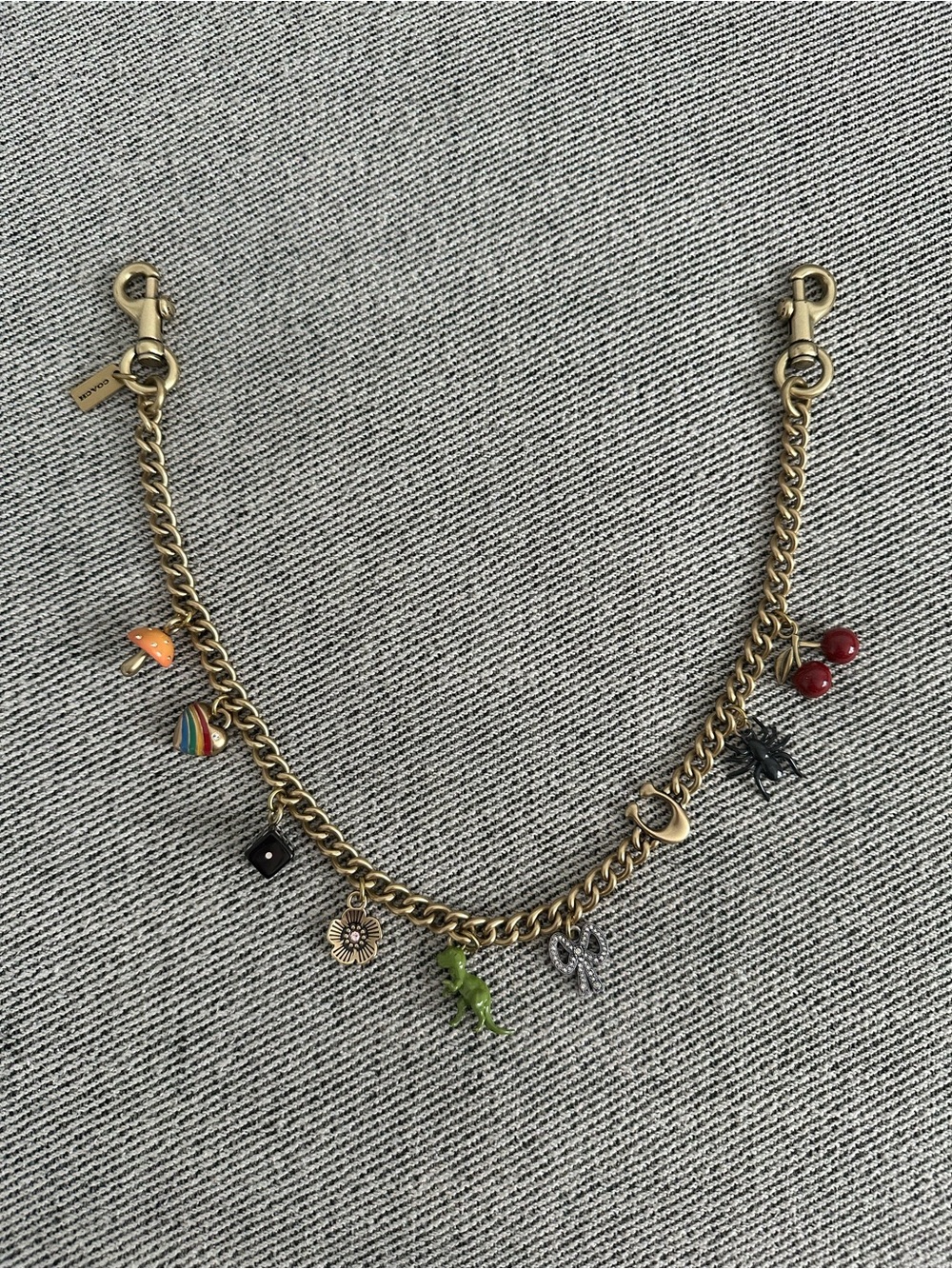 COACH Gold Swagger Chain With Charms CCD30